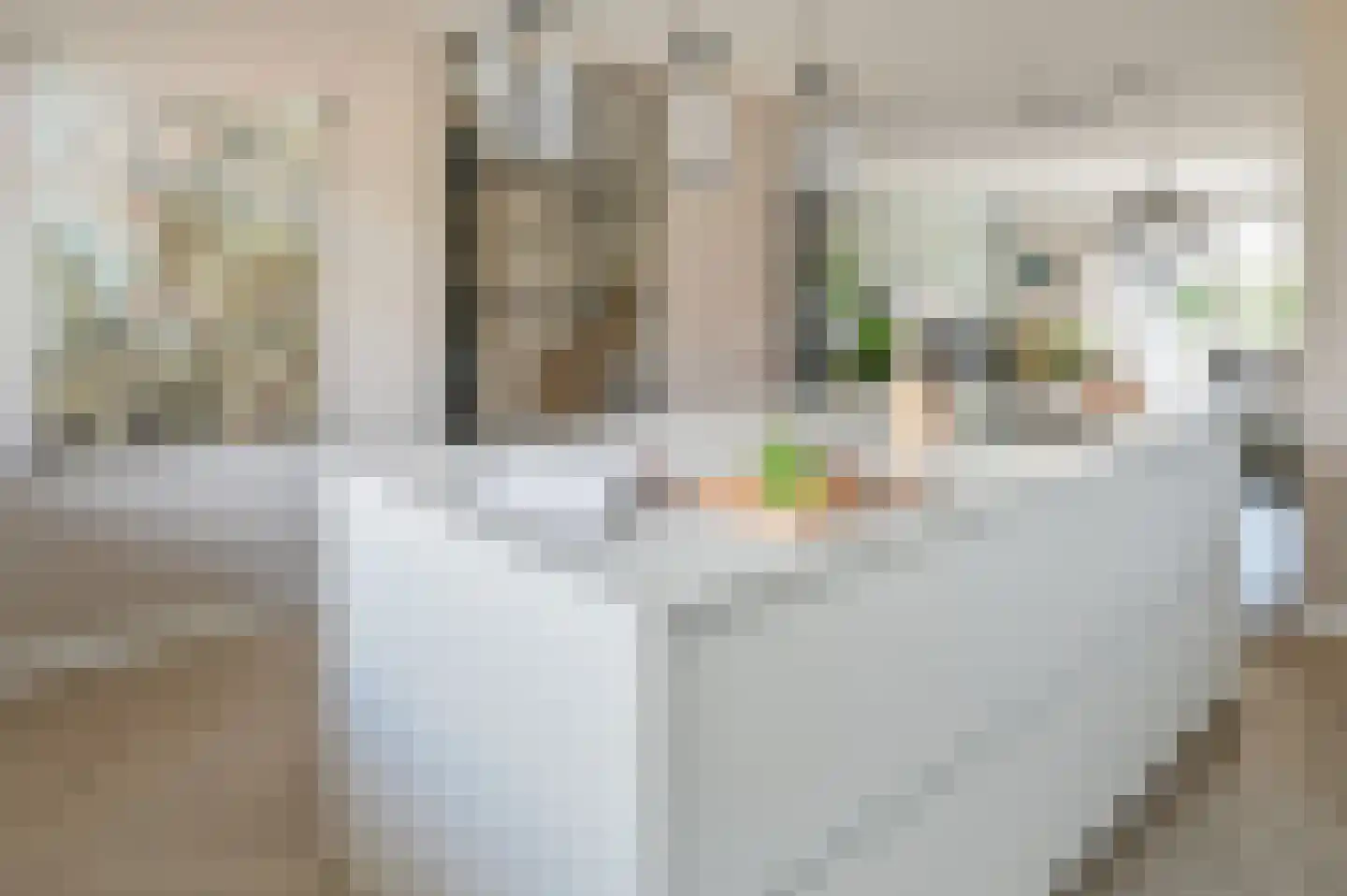 Knobbelzwaan 7 Uithoorn thumbnail 5