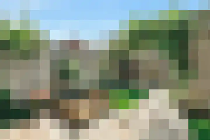 Knobbelzwaan 77 Uithoorn thumbnail 12