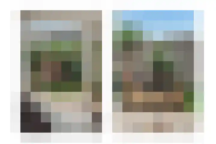 Knobbelzwaan 77 Uithoorn thumbnail 13