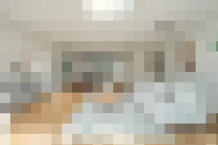 Knobbelzwaan 77 Uithoorn thumbnail 15