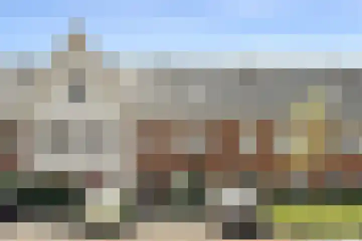 Knobbelzwaan 77 Uithoorn foto 2