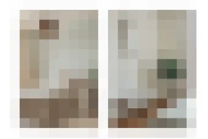 Knobbelzwaan 77 Uithoorn thumbnail 27