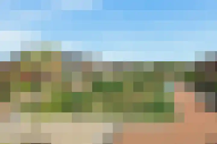 Knobbelzwaan 77 Uithoorn thumbnail 29