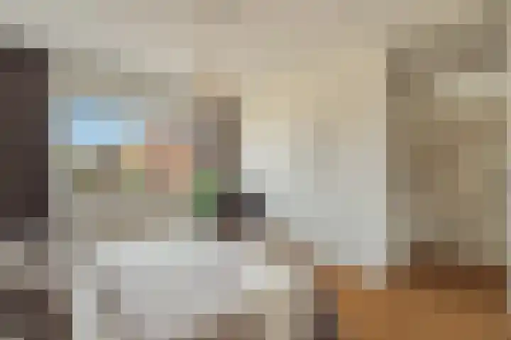 Knobbelzwaan 77 Uithoorn thumbnail 30