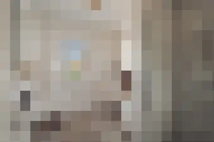 Knobbelzwaan 77 Uithoorn thumbnail 31