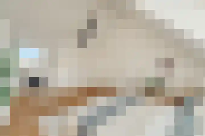 Knobbelzwaan 77 Uithoorn thumbnail 37