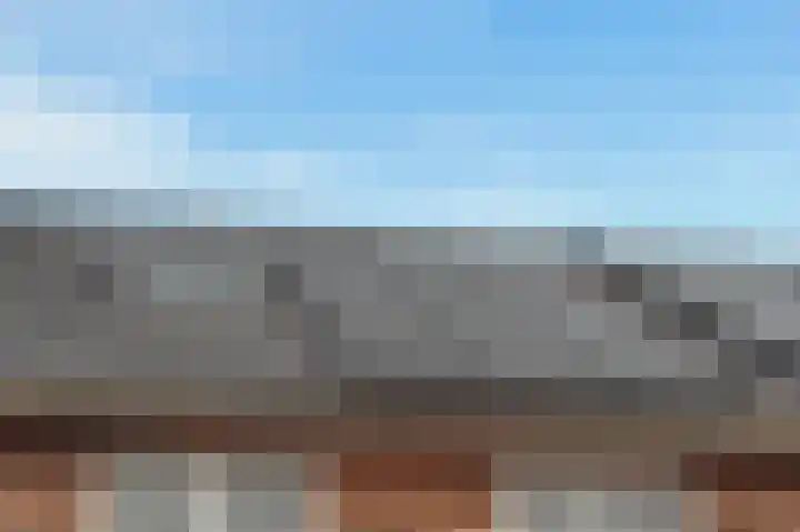 Knobbelzwaan 77 Uithoorn thumbnail 39