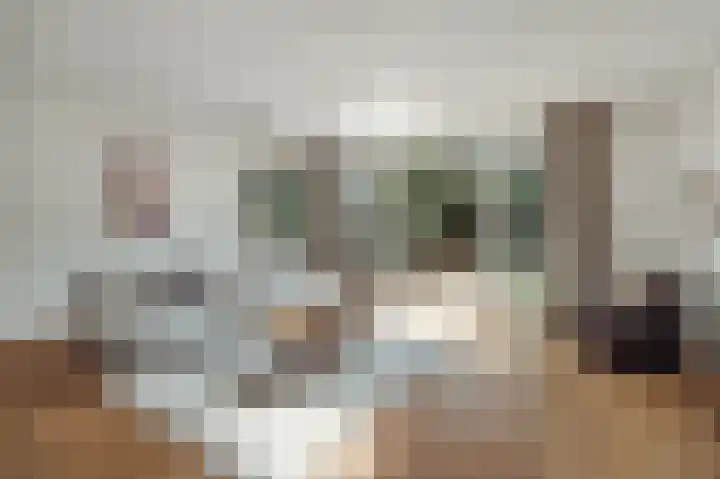 Knobbelzwaan 77 Uithoorn thumbnail 4