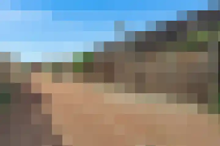 Knobbelzwaan 77 Uithoorn thumbnail 42