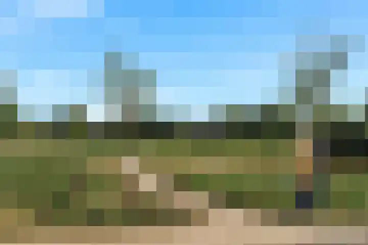 Knobbelzwaan 77 Uithoorn thumbnail 46