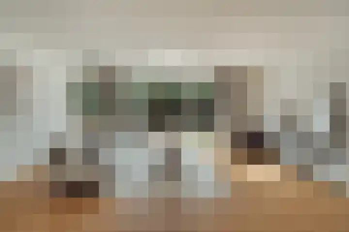 Knobbelzwaan 77 Uithoorn thumbnail 6