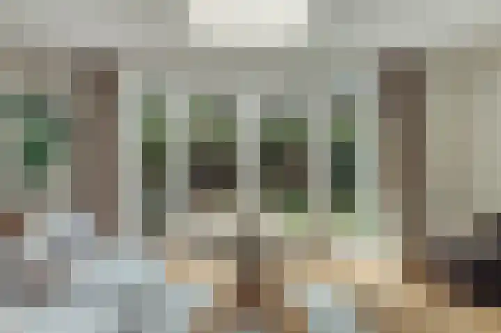 Knobbelzwaan 77 Uithoorn thumbnail 8
