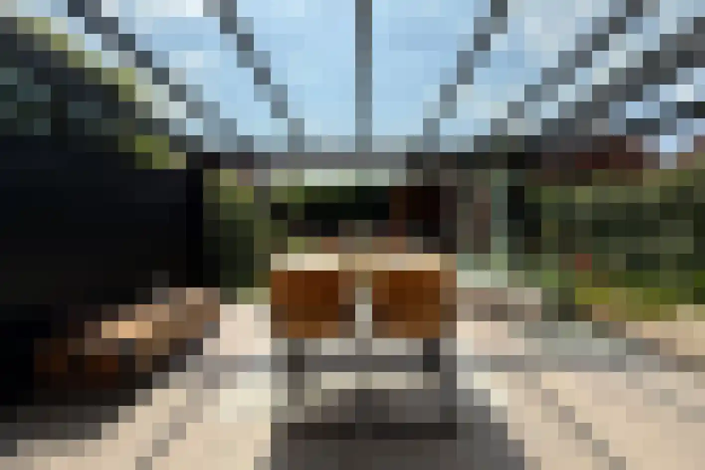 Knobbelzwaansingel 9 Den Haag thumbnail 14