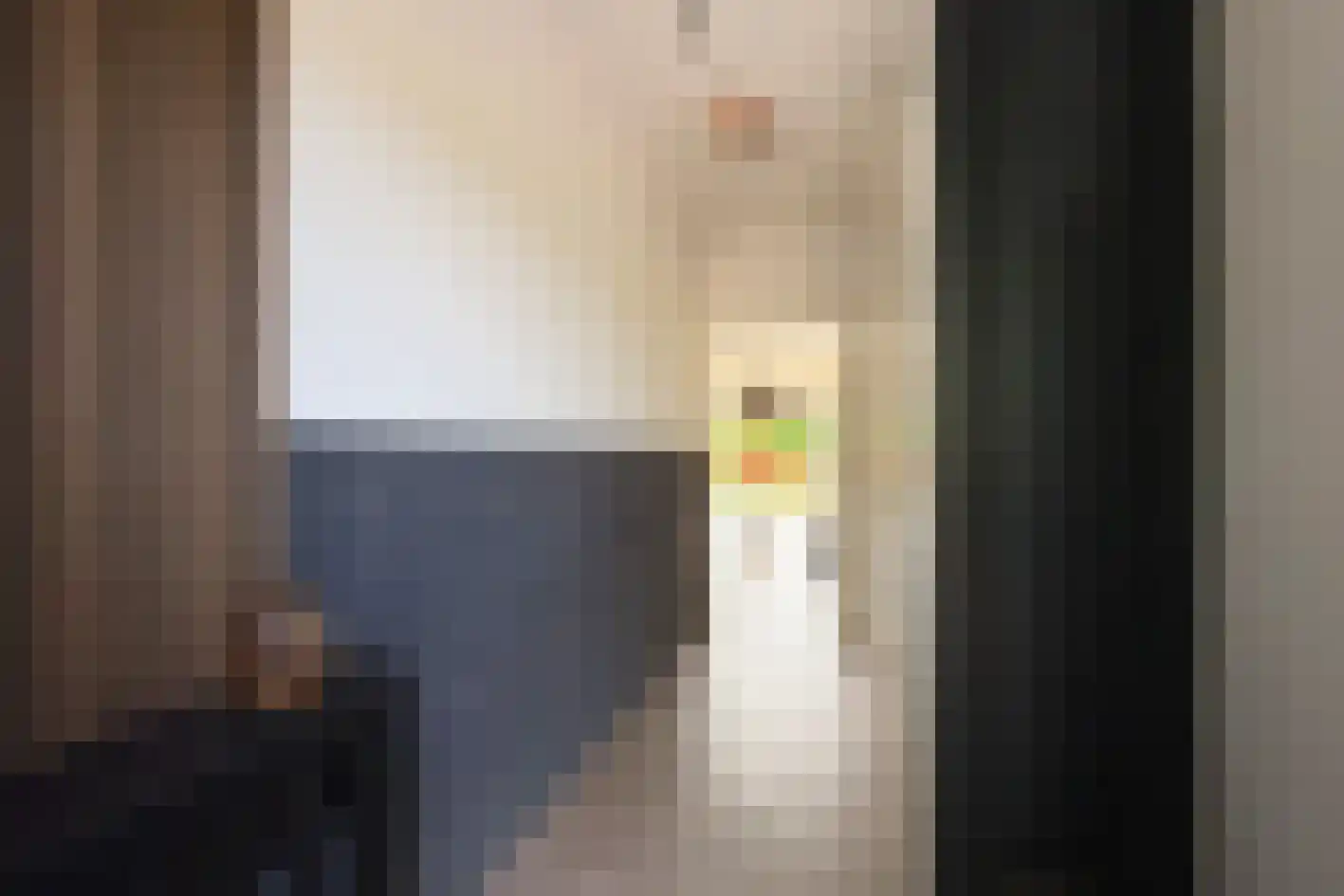 Knobbelzwaansingel 9 Den Haag thumbnail 7