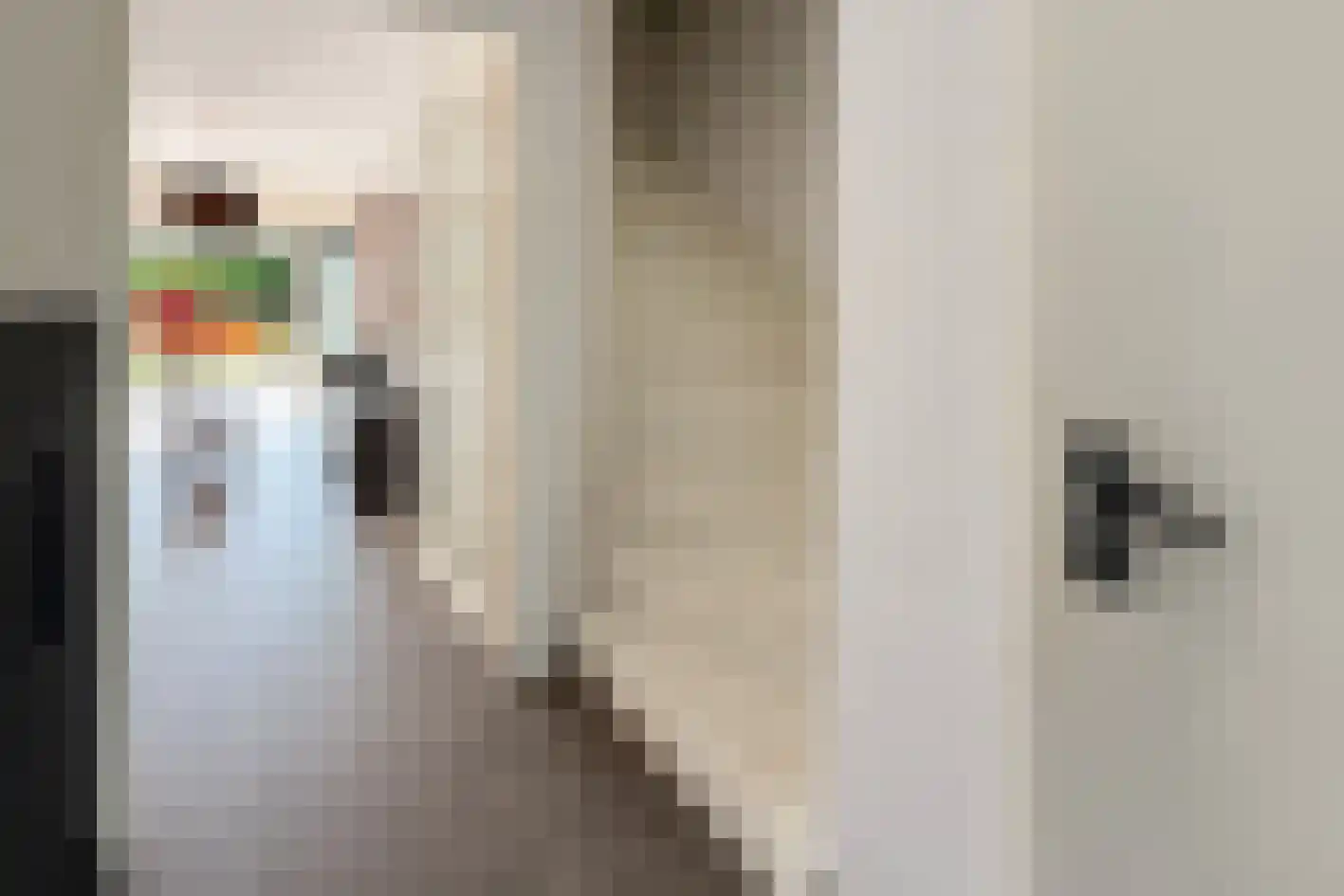 Knobbelzwaansingel 9 Den Haag thumbnail 8
