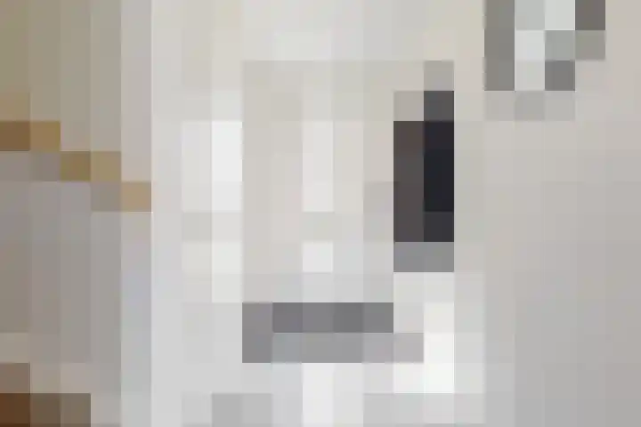 Knoe 13 Wervershoof thumbnail 13