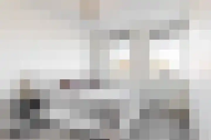 Knoe 13 Wervershoof thumbnail 14