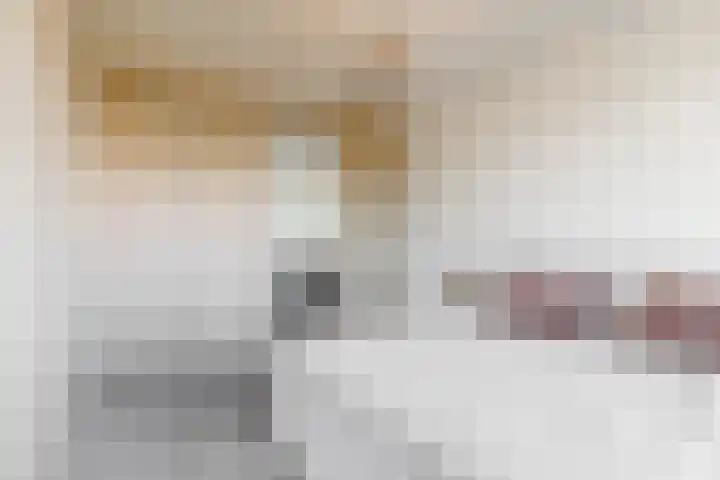 Knoe 13 Wervershoof thumbnail 15