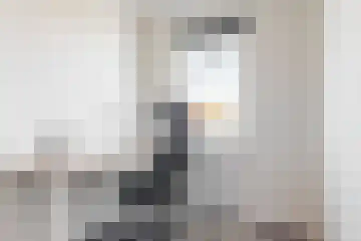Knoe 13 Wervershoof thumbnail 19