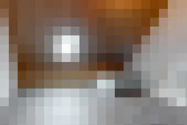 Knoe 13 Wervershoof thumbnail 23