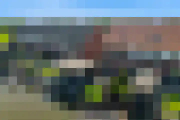 Knoe 13 Wervershoof thumbnail 26