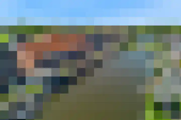 Knoe 13 Wervershoof thumbnail 27