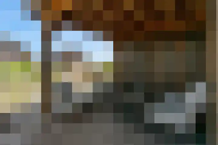 Knoe 13 Wervershoof thumbnail 30