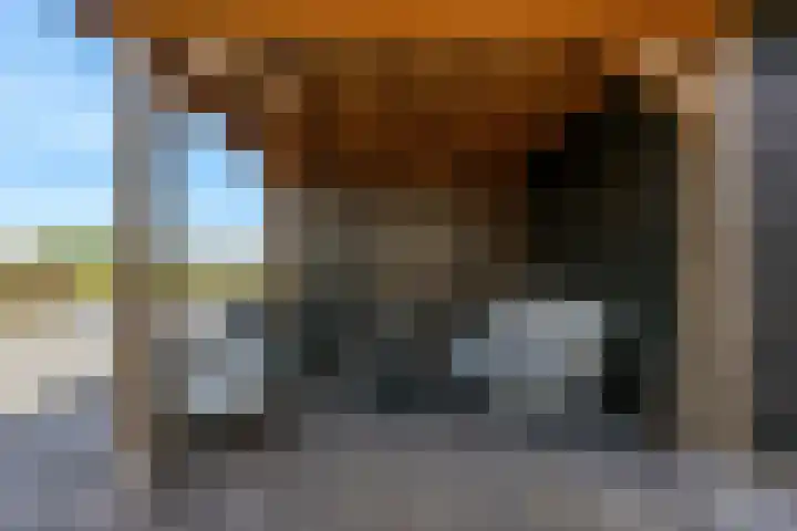 Knoe 13 Wervershoof thumbnail 34