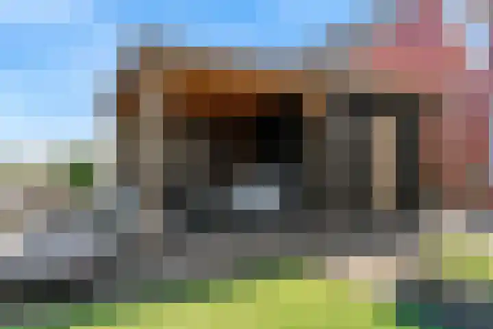 Knoe 13 Wervershoof thumbnail 35