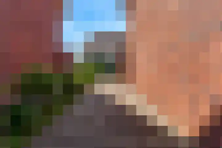 Knoe 13 Wervershoof thumbnail 37