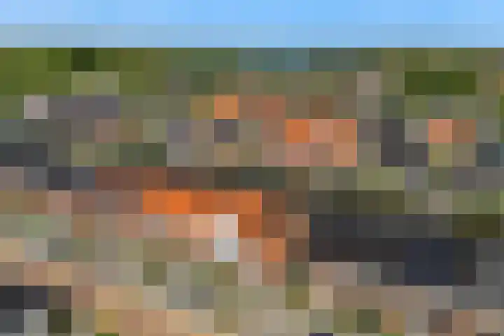 Knoe 13 Wervershoof thumbnail 38