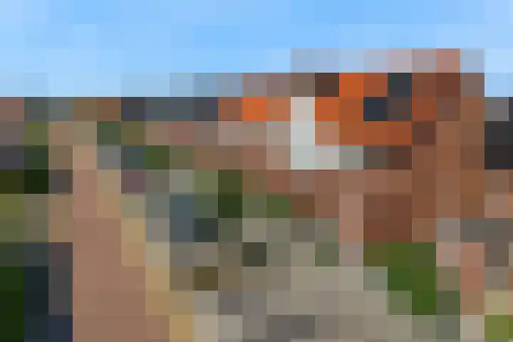Knoe 13 Wervershoof thumbnail 39