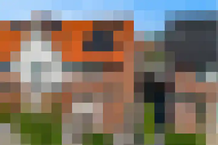 Knoe 13 Wervershoof thumbnail 41