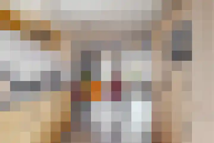 Knoe 13 Wervershoof thumbnail 9