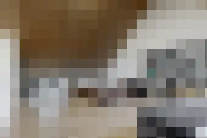 Knoe 17 Wervershoof thumbnail 20
