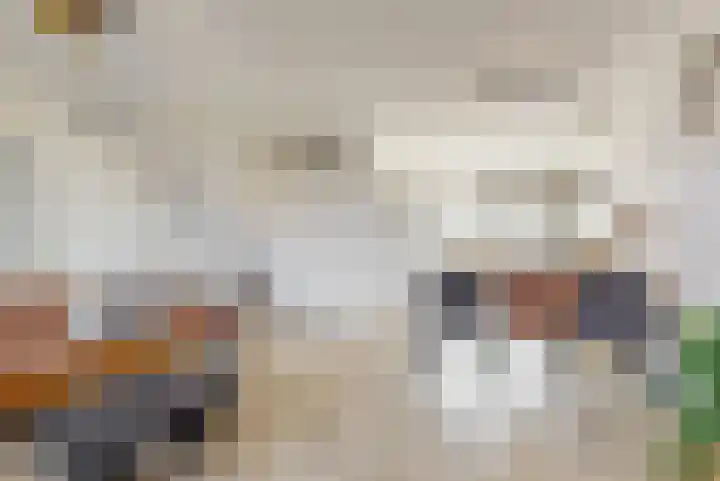 Knoe 17 Wervershoof thumbnail 5