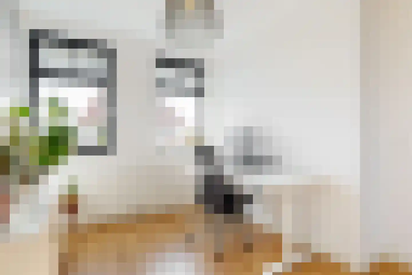 Knoe 3 Wervershoof thumbnail 16