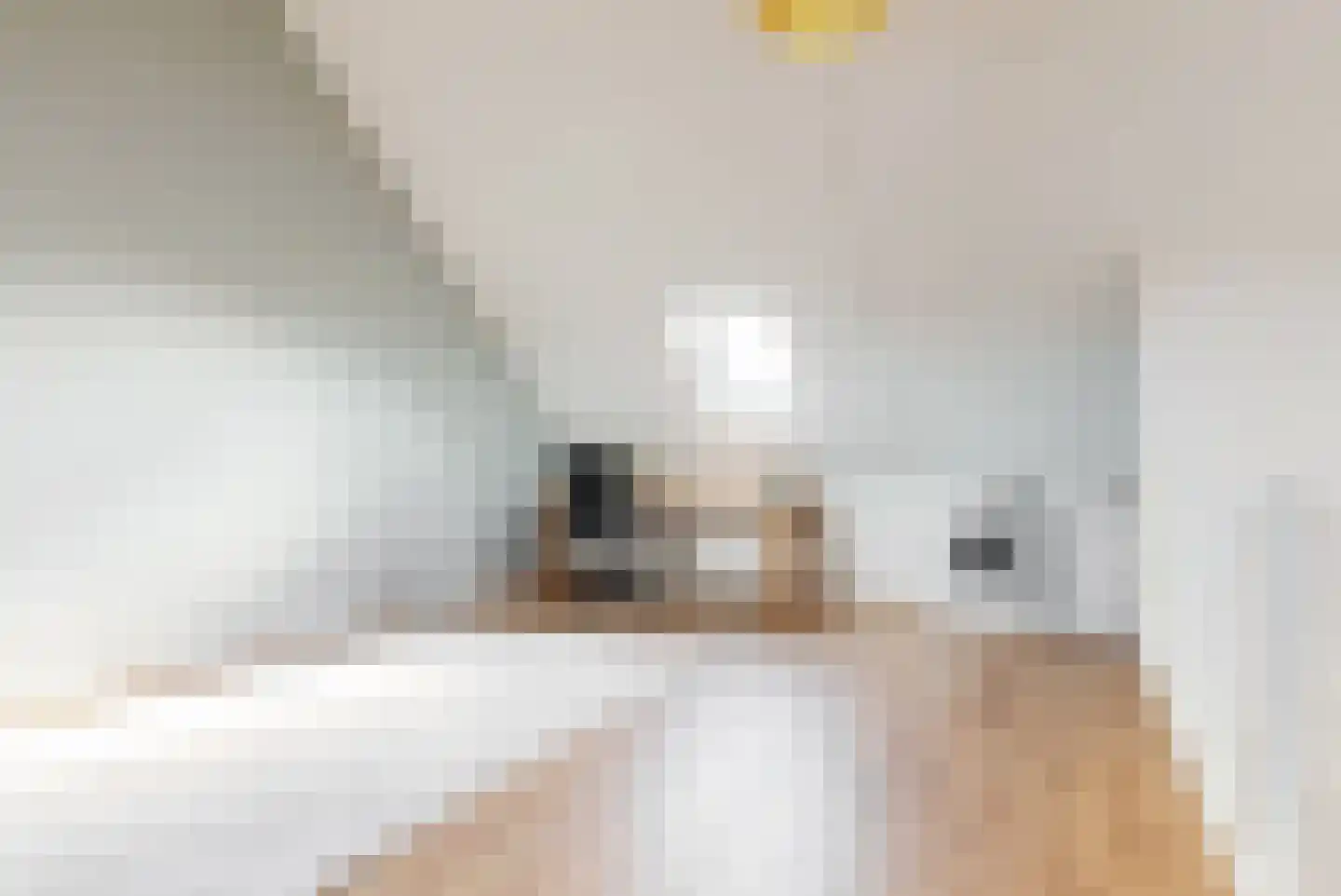 Knoe 3 Wervershoof thumbnail 26