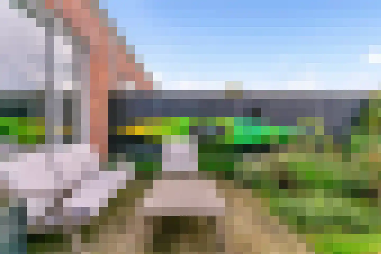 Knoe 3 Wervershoof thumbnail 32
