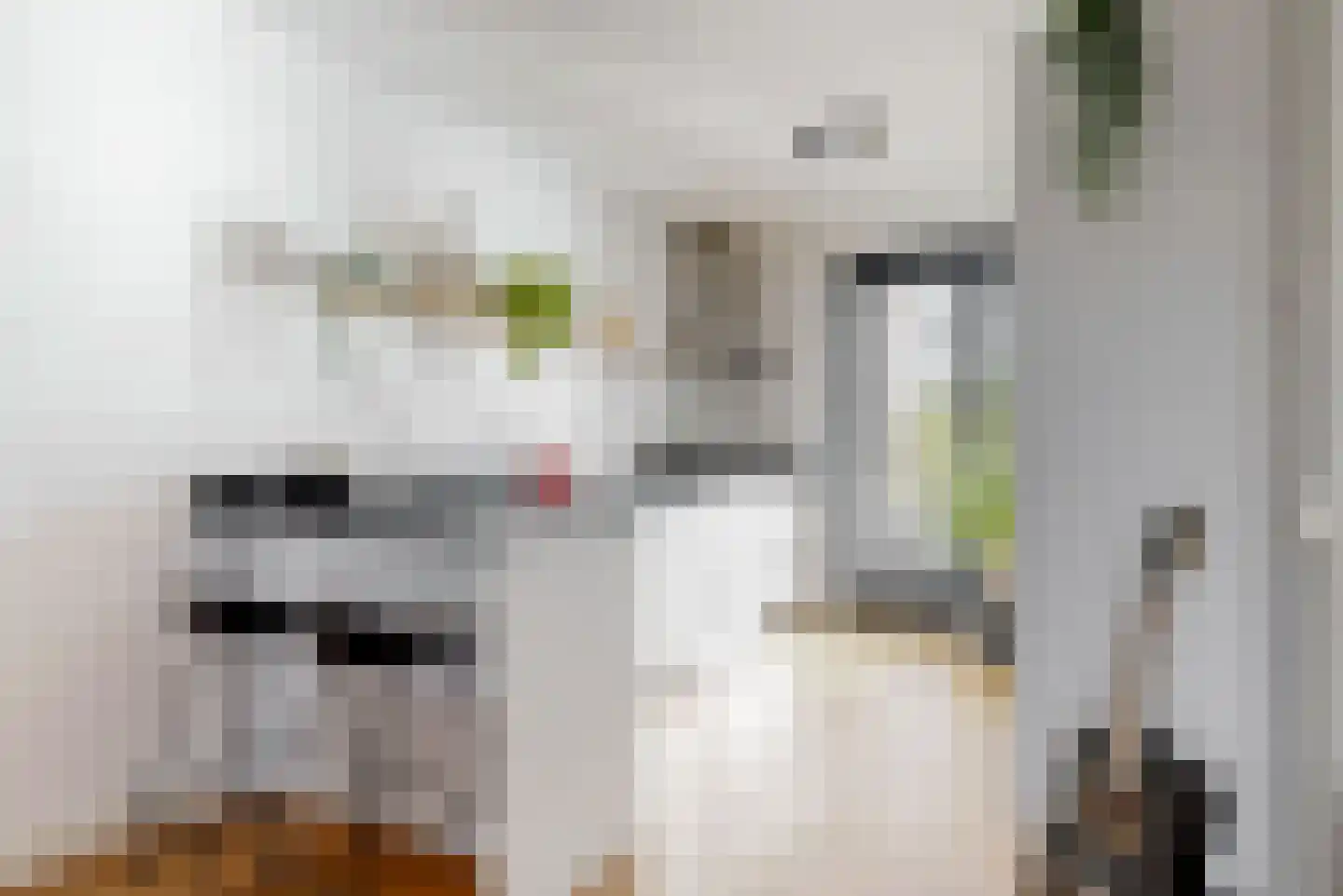Knoe 3 Wervershoof thumbnail 5