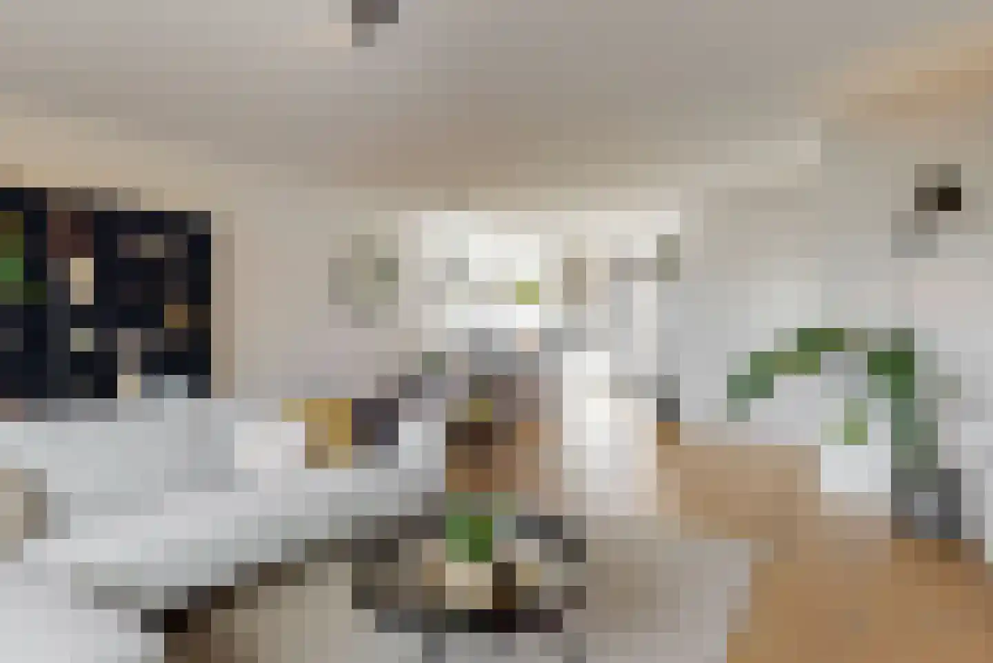 Knoe 3 Wervershoof thumbnail 9
