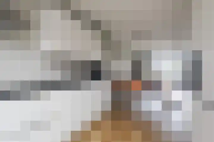 Knoe 31 Wervershoof thumbnail 19