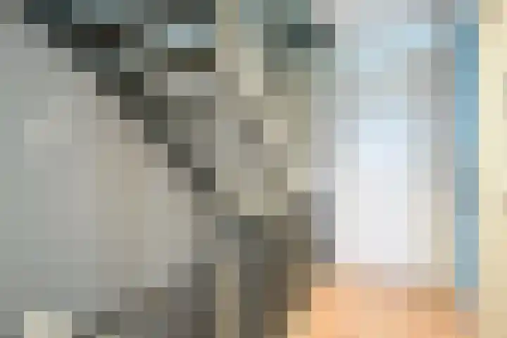 Knoe 31 Wervershoof thumbnail 20