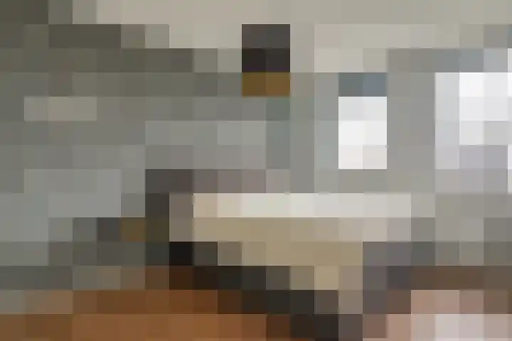 Knoe 31 Wervershoof thumbnail 21