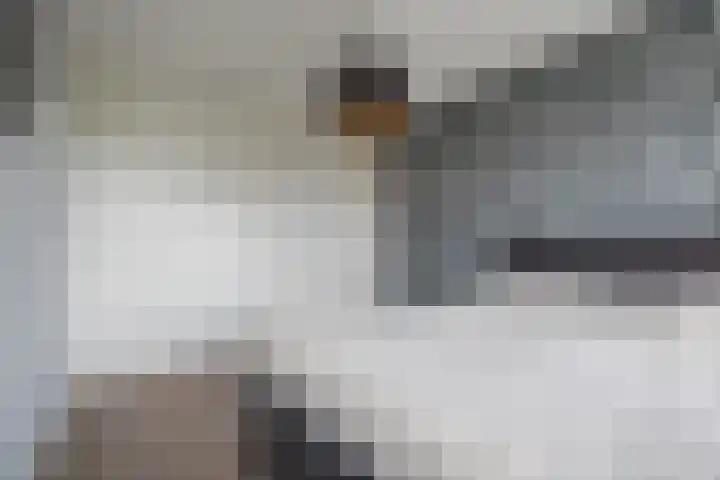 Knoe 31 Wervershoof thumbnail 23