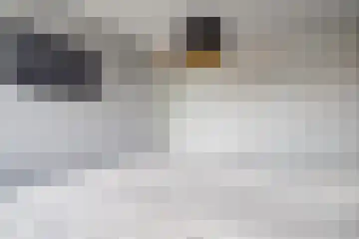 Knoe 31 Wervershoof thumbnail 24