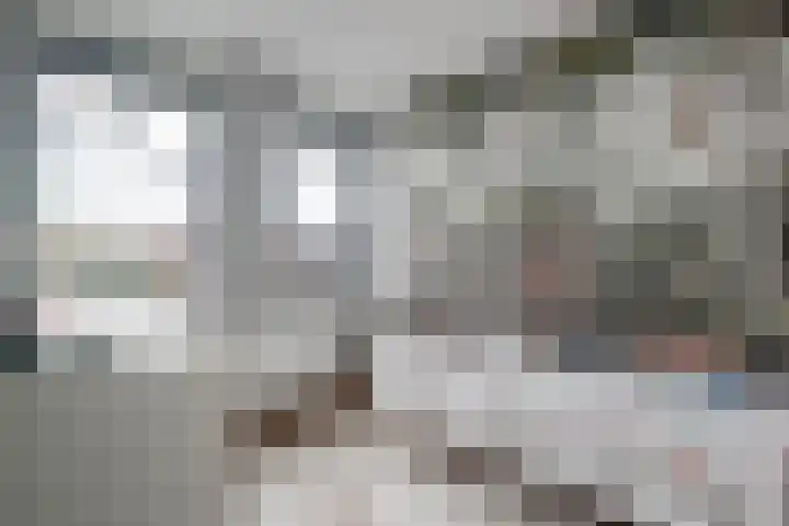 Knoe 31 Wervershoof thumbnail 28