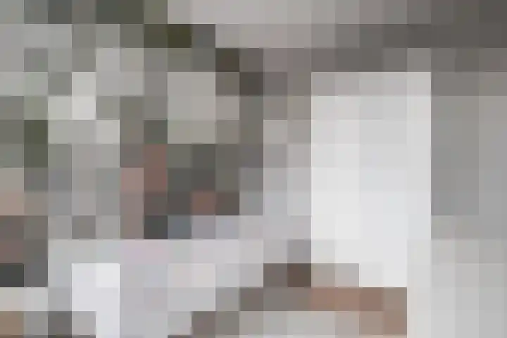 Knoe 31 Wervershoof thumbnail 29