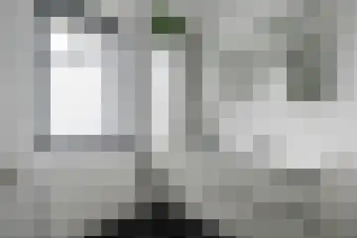 Knoe 31 Wervershoof thumbnail 33