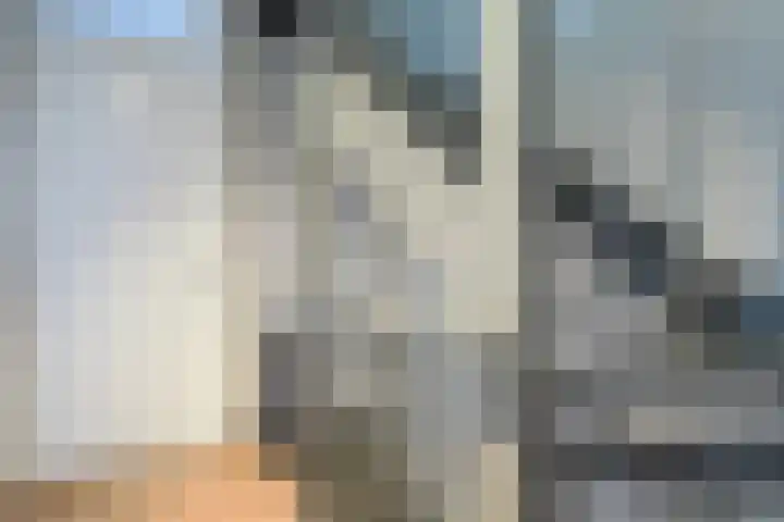 Knoe 31 Wervershoof thumbnail 37